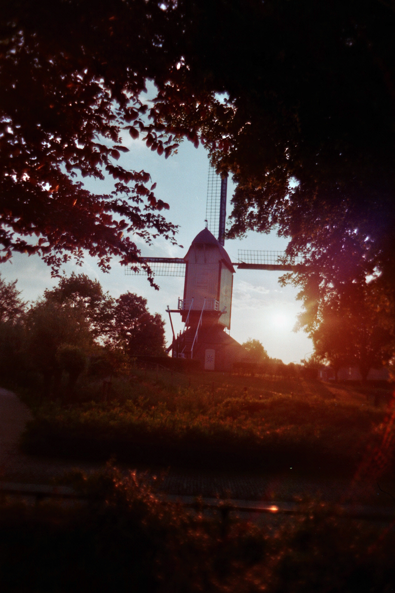 The windmill across from my former primary school